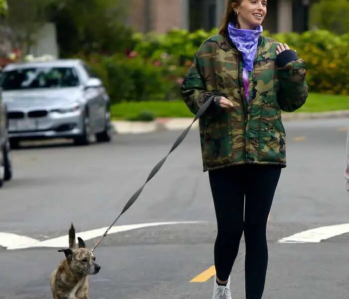 Katherine Schwarzenegger and Maria Shriver Walk Their Dogs in LA