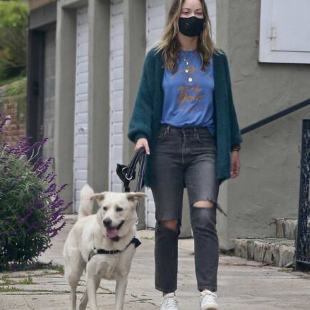 Olivia Wilde Walks Her Dog Around Her Neighborhood