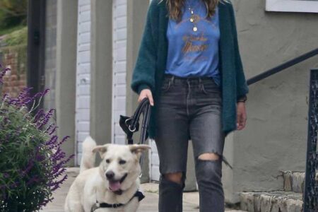 Olivia Wilde Walks Her Dog Around Her Neighborhood