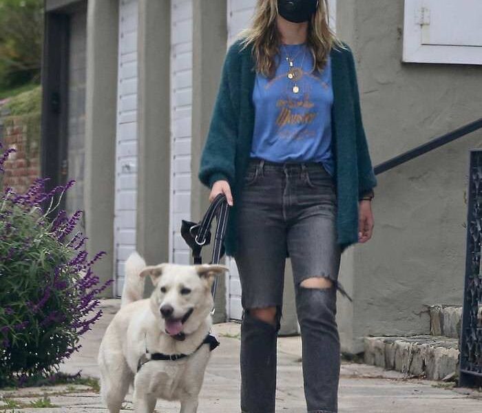 Olivia Wilde Walks Her Dog Around Her Neighborhood