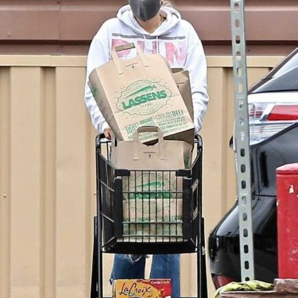 Malin Akerman Wearing a Protective Mask in Shopping at Lassen’s