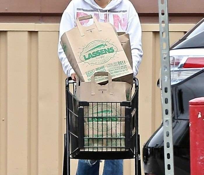 Malin Akerman Wearing a Protective Mask in Shopping at Lassen’s