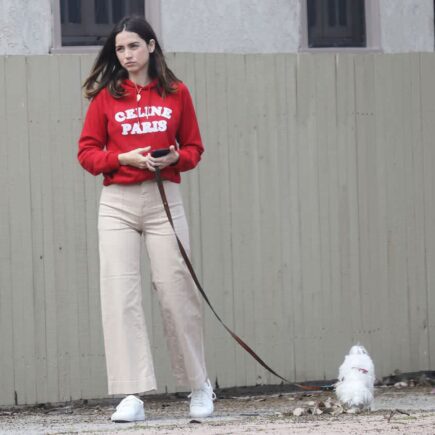 Ana de Armas in the Pacific Palisades Walking Her Dog