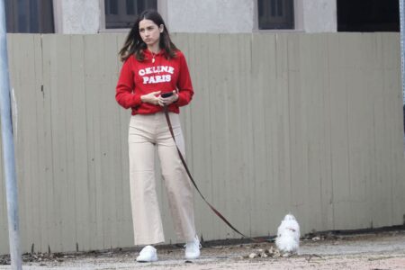 Ana de Armas in the Pacific Palisades Walking Her Dog