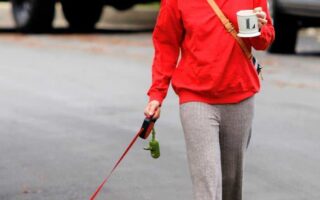 Lucy Hale Relaxed Walking Her Dog in Los Angeles