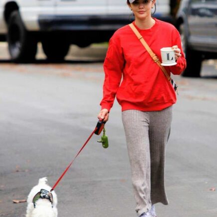 Lucy Hale Relaxed Walking Her Dog in Los Angeles