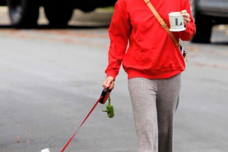 Lucy Hale Relaxed Walking Her Dog in Los Angeles