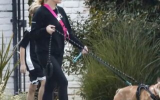 Reese Witherspoon Walking the Family Dogs with her Son
