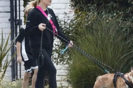 Reese Witherspoon Walking the Family Dogs with her Son