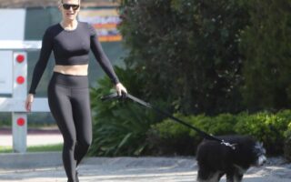 Molly Sims in a Crop Top and Leggings Walking Dog in LA