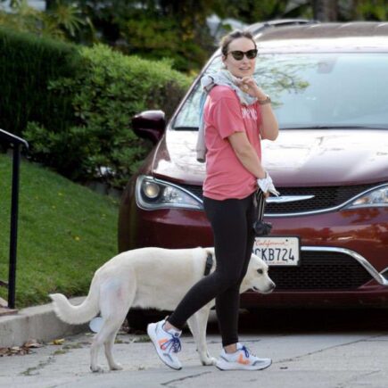 Olivia Wilde Stepped Out for a Quick Dog Walk in LA