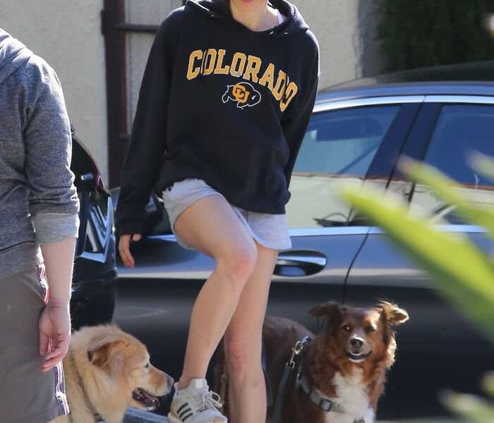 Aubrey Plaza in Tiny Shorts Walks Her Dogs in LA