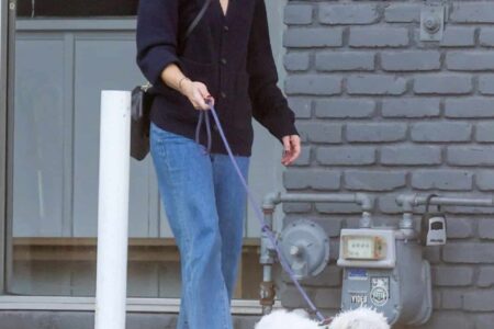 Kristen Bell Flaunts Casual Elegance Leaving Pet Salon with Her Tiny Dog