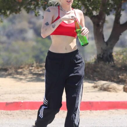 Miley Cyrus Flaunts Fit Figure on Hollywood Hills Hike