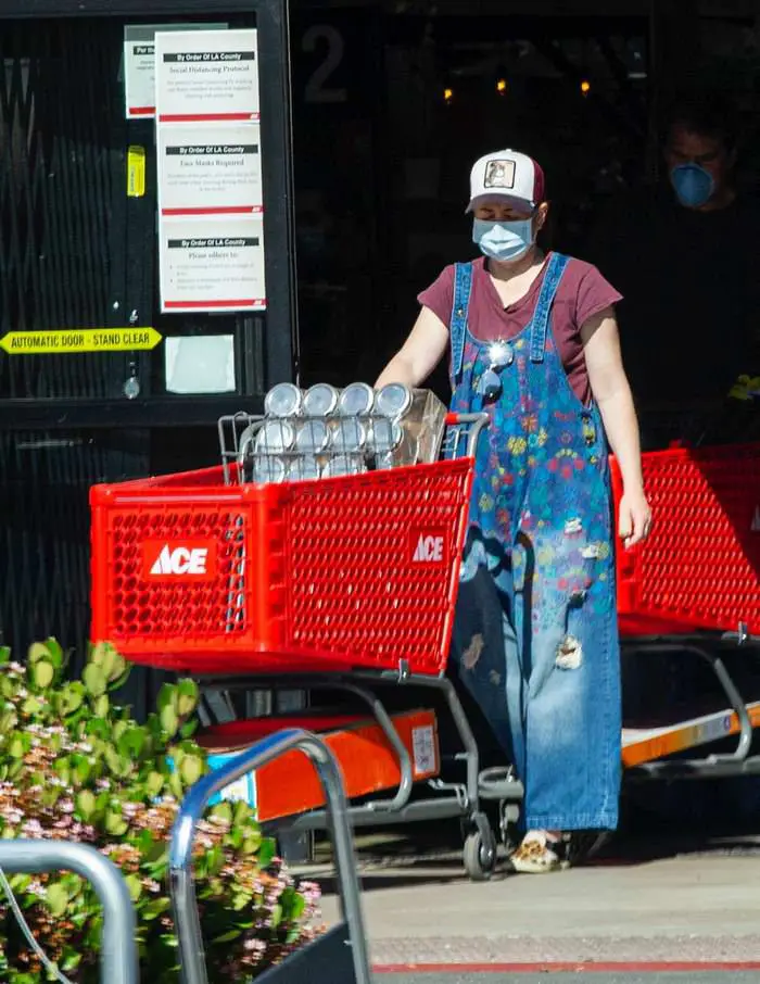alyson hannigan in oversized overalls step out for supplies 1