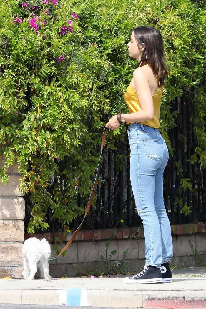 ana de armas steps out in satin camisole for a dog walk in venice 1