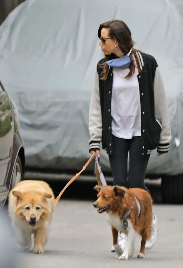 aubrey plaza gets a breath of fresh air while walking her dogs 1