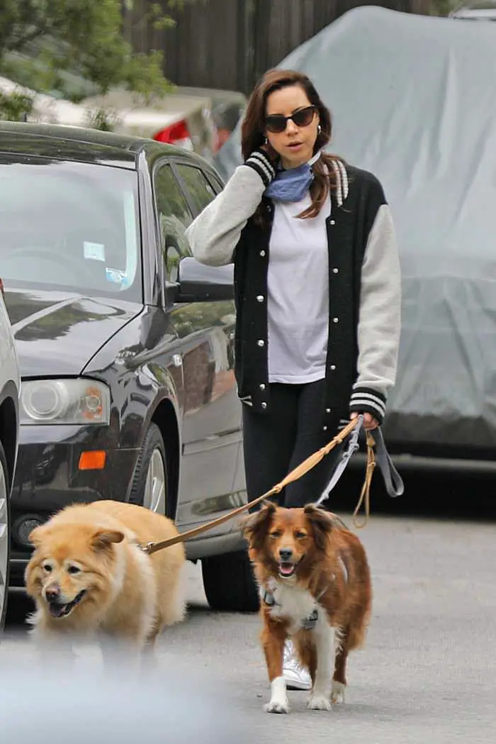 aubrey plaza gets a breath of fresh air while walking her dogs 3