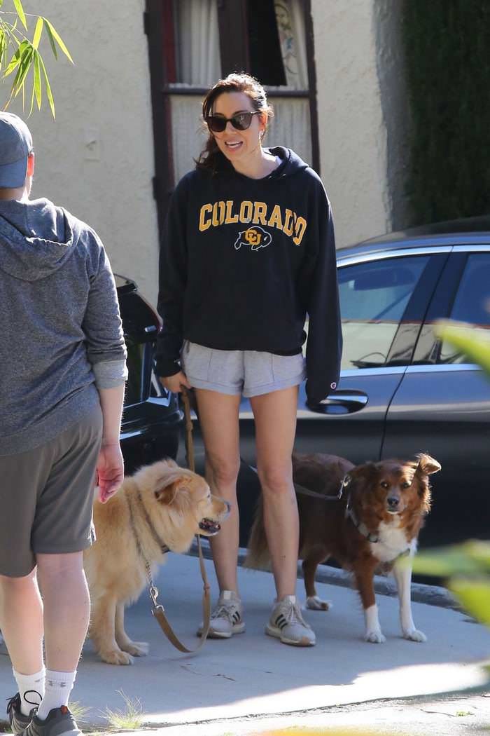aubrey plaza in tiny shorts walks her dogs in la 2