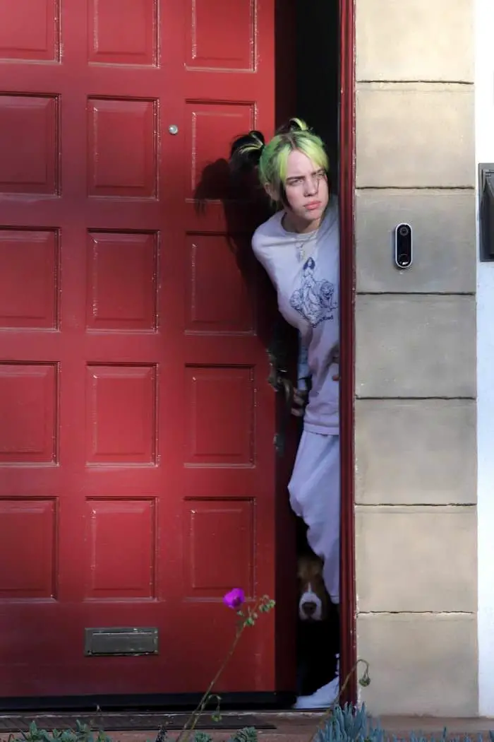 billie eilish in all white as she receives new puppy 2