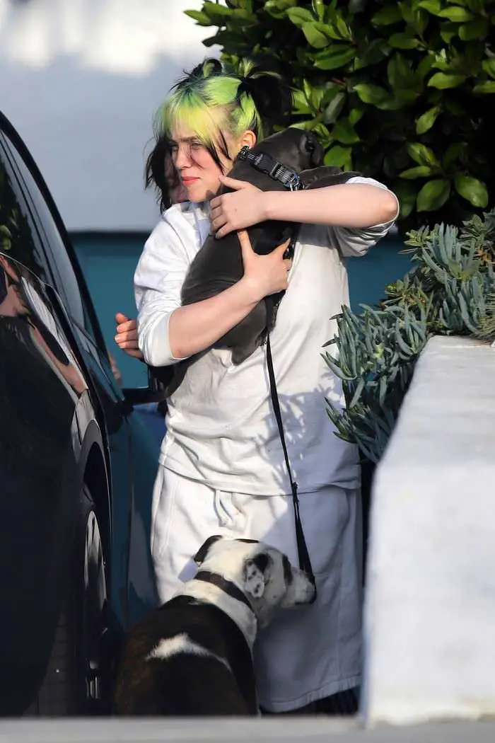 billie eilish in all white as she receives new puppy 4