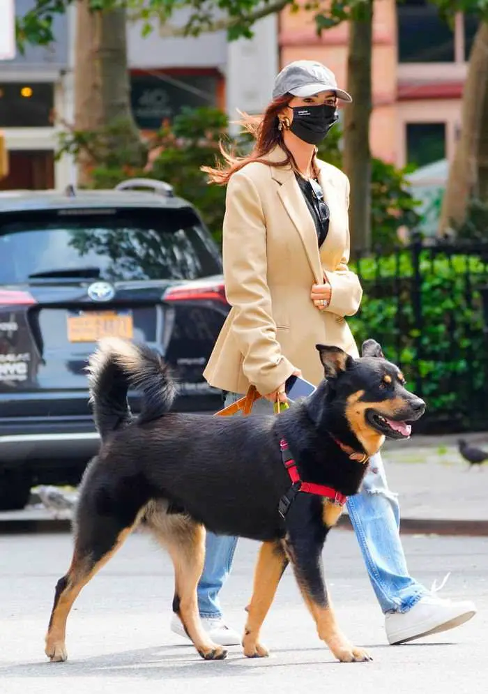emily ratajkowski embraces chic autumn outfit while walking her dog 1