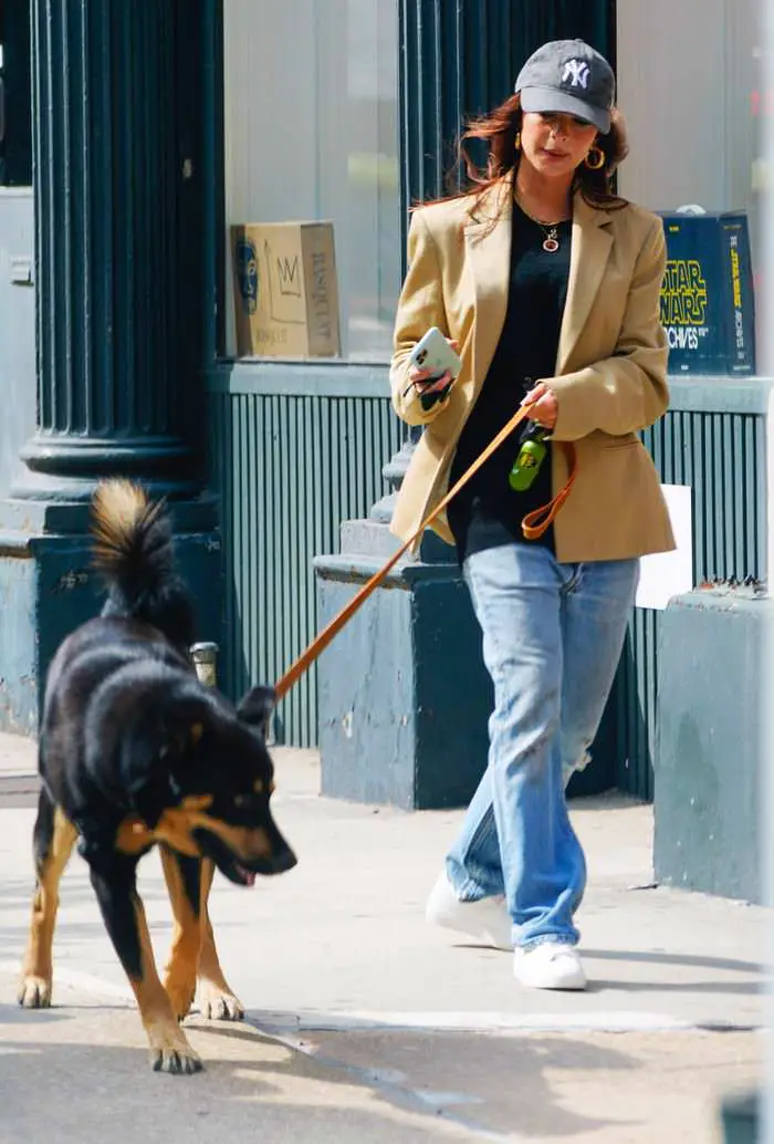 emily ratajkowski embraces chic autumn outfit while walking her dog 2