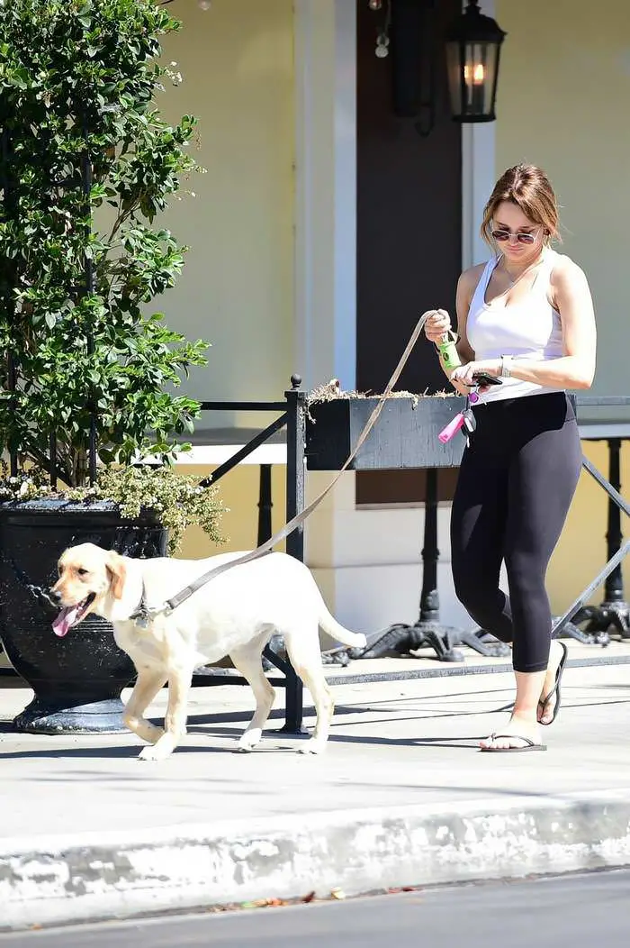 joey king looking chic in a tank top as she walks her dog in la 3