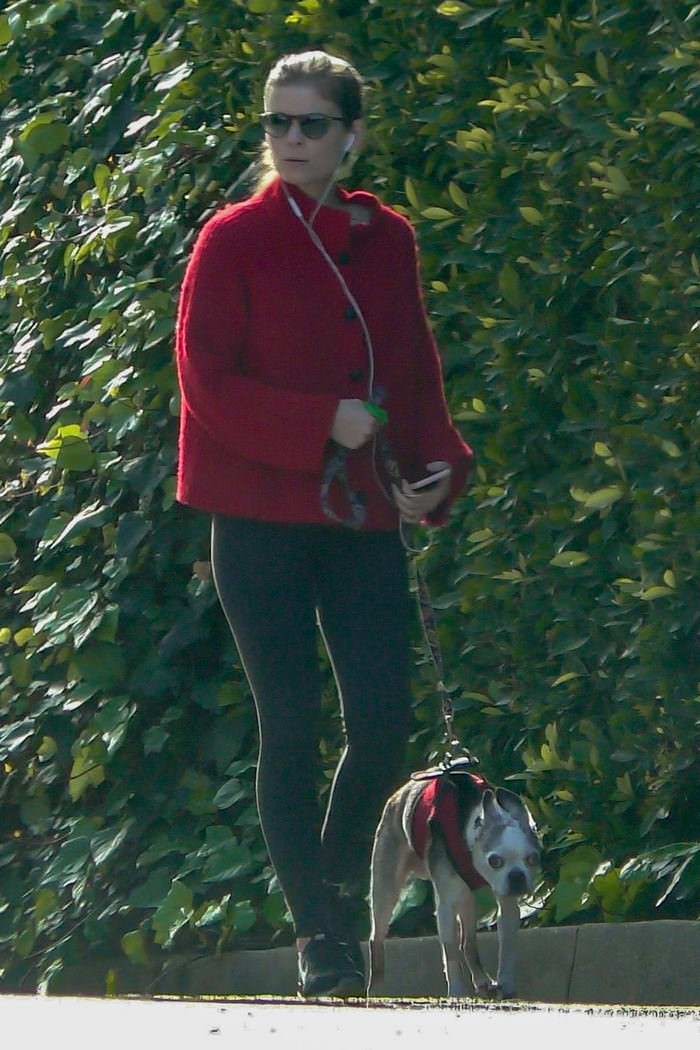 kate mara take the dog for a walk in los feliz 1