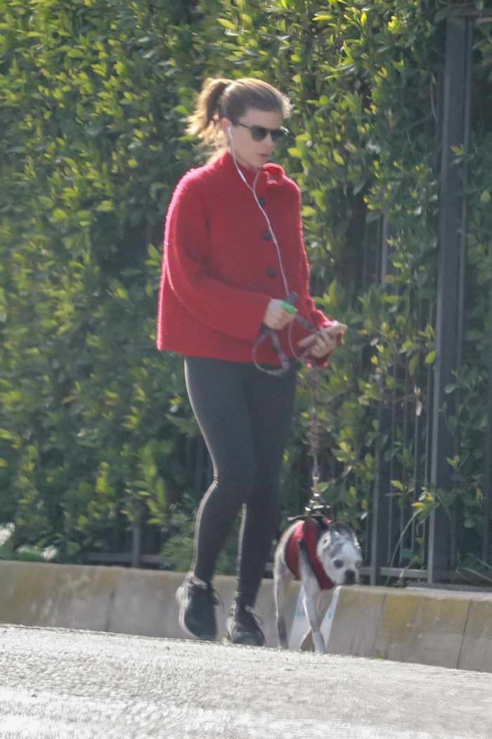 kate mara take the dog for a walk in los feliz 4