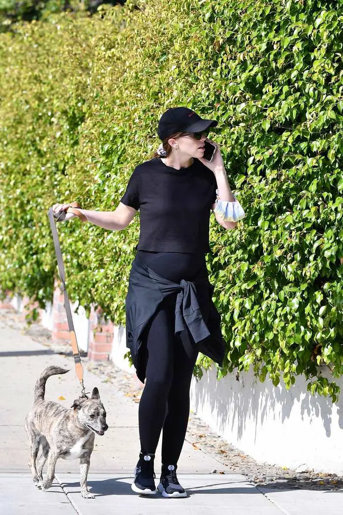 katherine schwarzenegger displays baby bump as she walks her dog in la 1