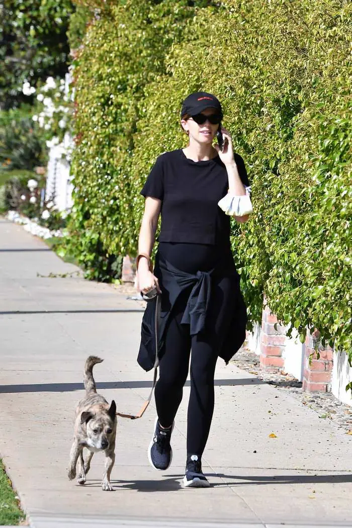 katherine schwarzenegger displays baby bump as she walks her dog in la 4