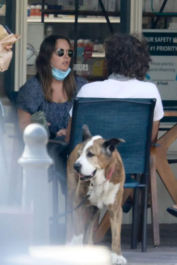 leighton meester and adam brody enjoy a break from kids in cafe 1