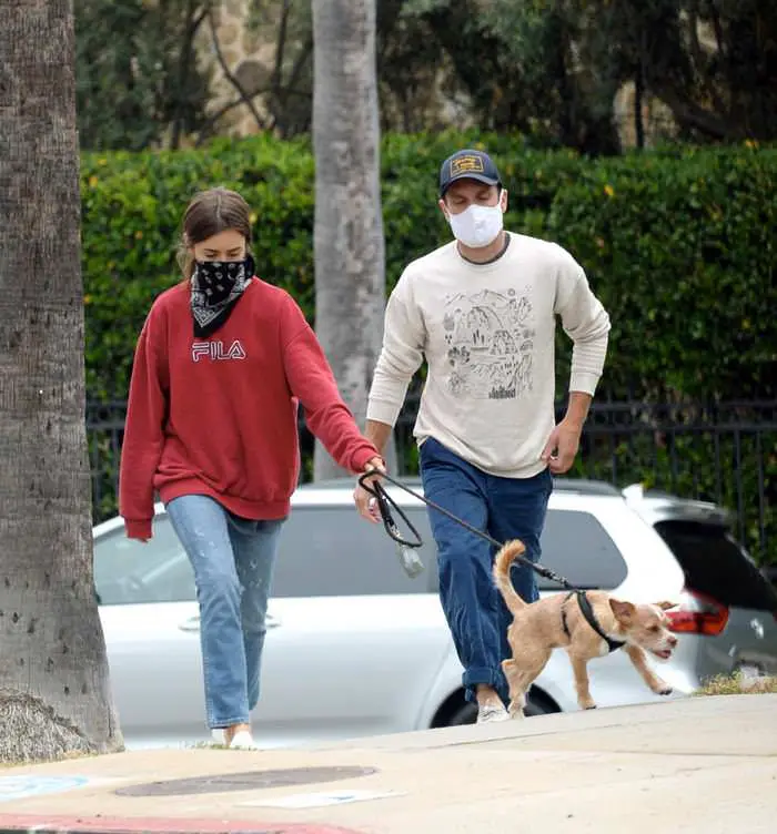 lily collins takes her dog out for a walk with bf charlie mcdowell 1