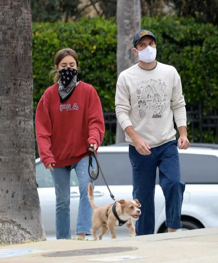 lily collins takes her dog out for a walk with bf charlie mcdowell 4