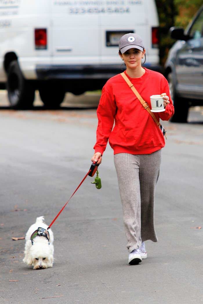 lucy hale relaxed walking her dog in los angeles 3