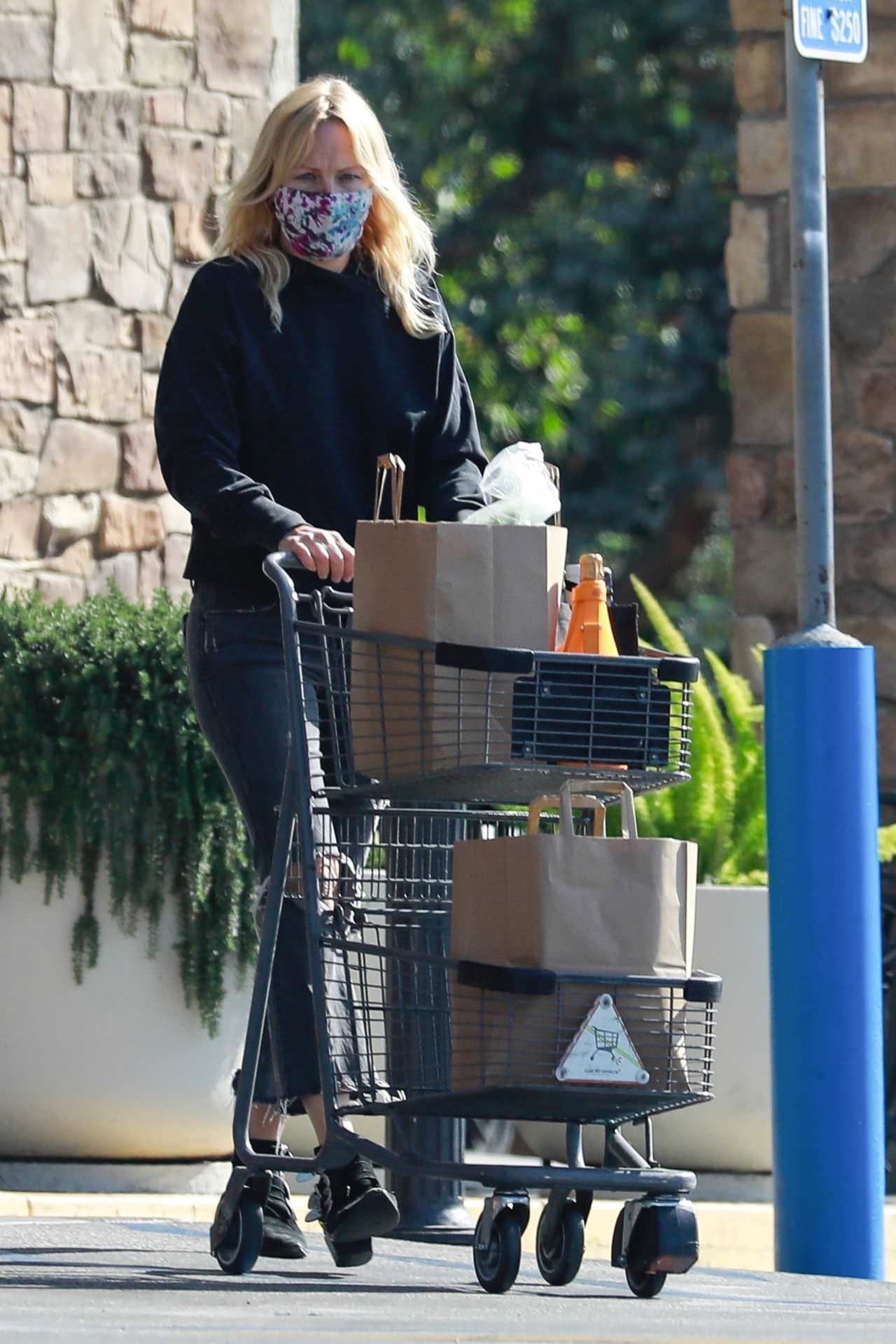 malin akerman in grocery shopping in los feliz 4