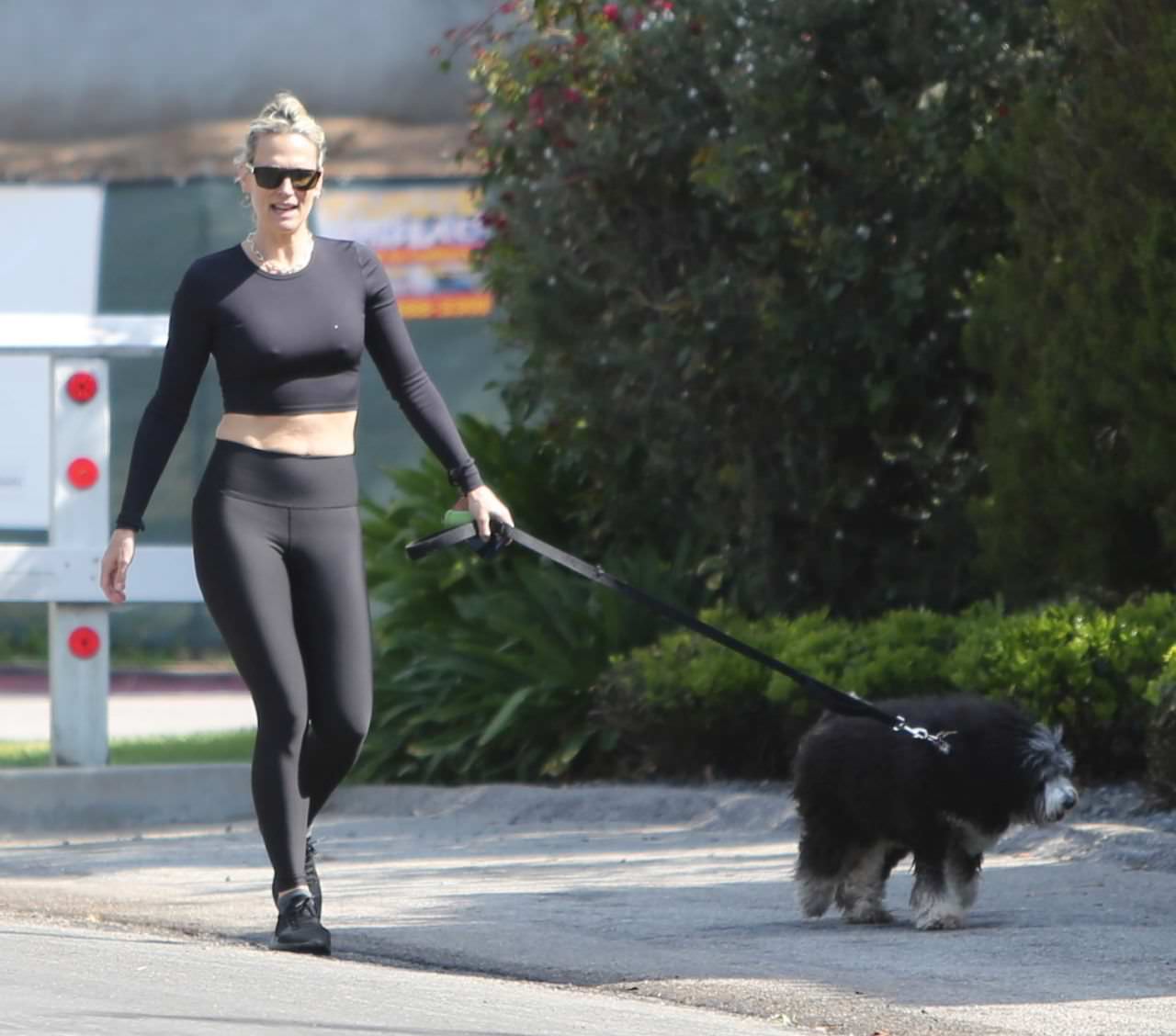 molly sims in a crop top and leggings walking dog in la 2