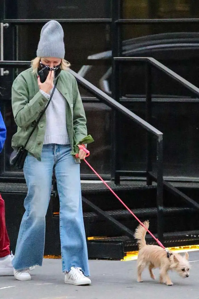 naomi watts in cozy chic autumn style as she takes her dog for a walk in nyc 1