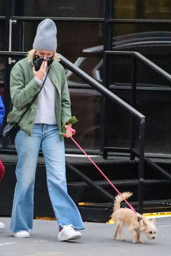 naomi watts in cozy chic autumn style as she takes her dog for a walk in nyc 2