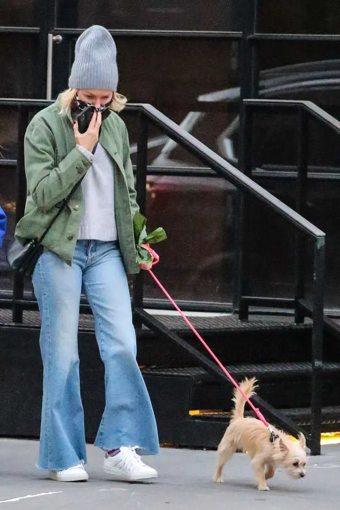 naomi watts in cozy chic autumn style as she takes her dog for a walk in nyc 3