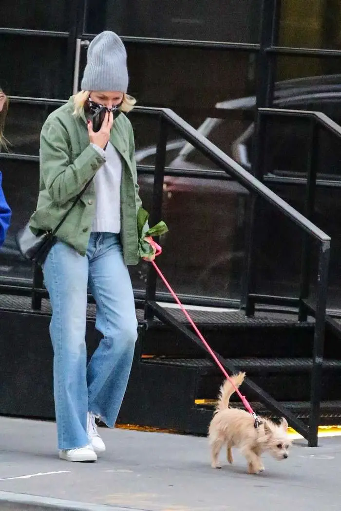 naomi watts in cozy chic autumn style as she takes her dog for a walk in nyc 4