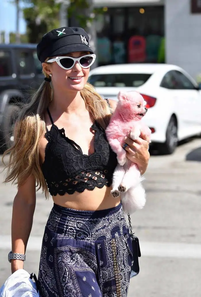 paris hilton flashes skin as she was shopping in malibu 1