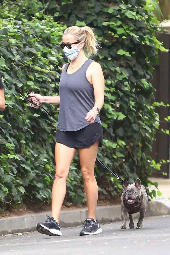 reese witherspoon works on her cardio while walking her dog in los angeles 2