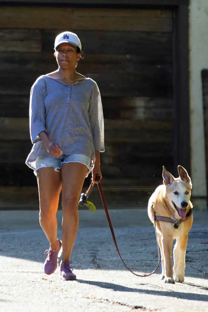 regina king enjoys fresh air while taking her dog for a walk in la 1