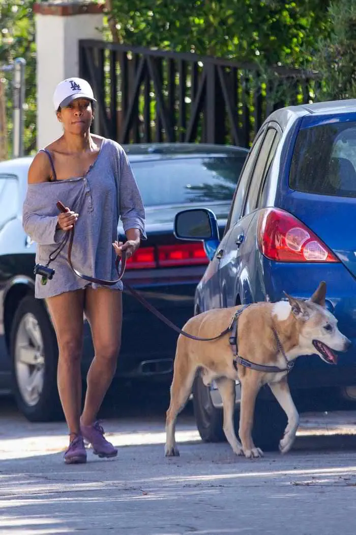 regina king enjoys fresh air while taking her dog for a walk in la 2
