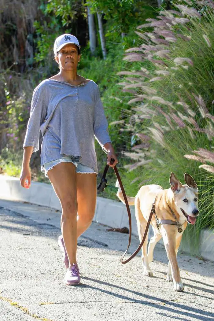 regina king enjoys fresh air while taking her dog for a walk in la 4