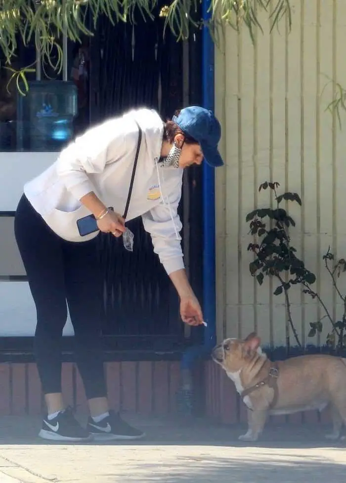 serinda swan flaunting her figure as she takes her dog for a walk 4