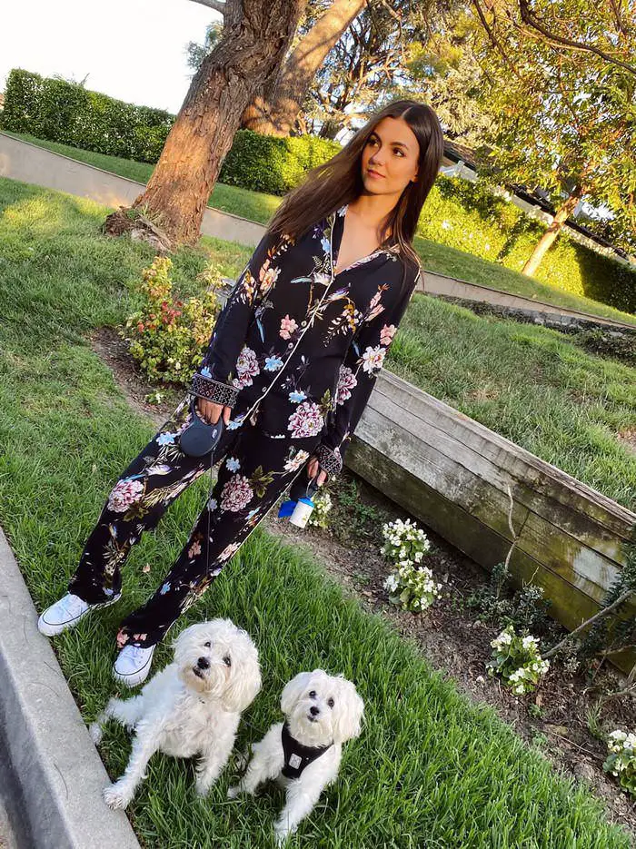 victoria justice with her puppies on social media 1