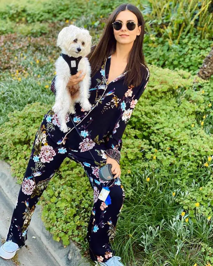 victoria justice with her puppies on social media 3